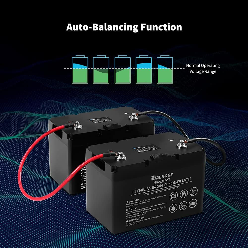 2 Pack Smart Lithium-Iron Phosphate Battery 12V 100Ah W/Self-Heating Function for RV, Solar, Marine, and Off-Grid Applications
