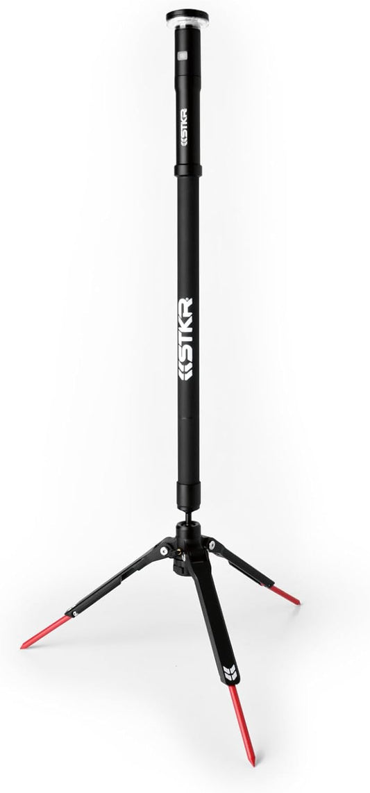 FLI PRO Telescoping Area Light - 8 Foot Extention + Removable Flashlight, Black, (12679)