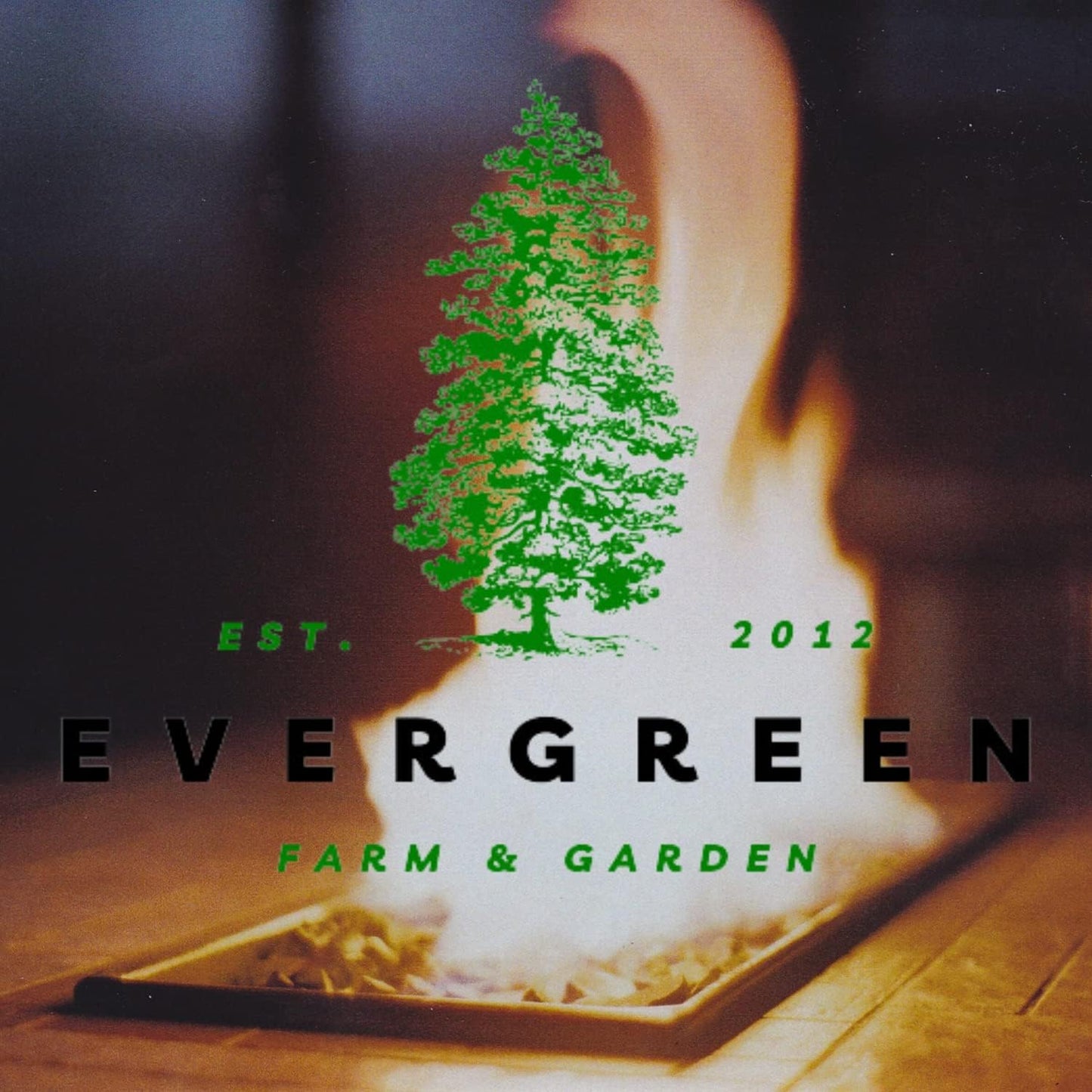 Coleman Propane Replacement Fuel Cylinders 16 Oz Camping Fuel Bundled