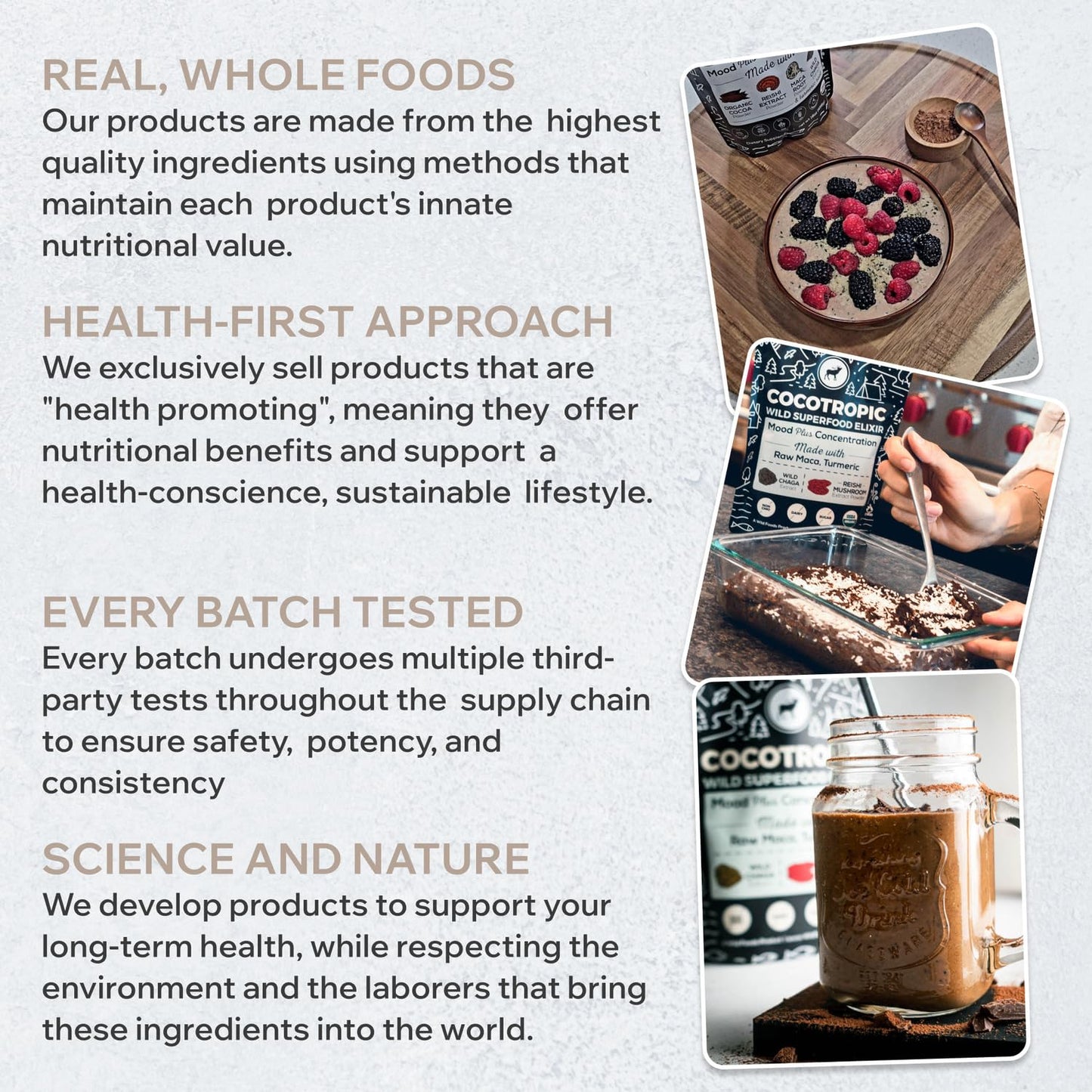 Organic Cocotropic Superfood Mushroom Hot Chocolate Mix, 8 Oz | Non-Gmo, Vegan, Gluten Free, Reishi Mushrooms, Chaga