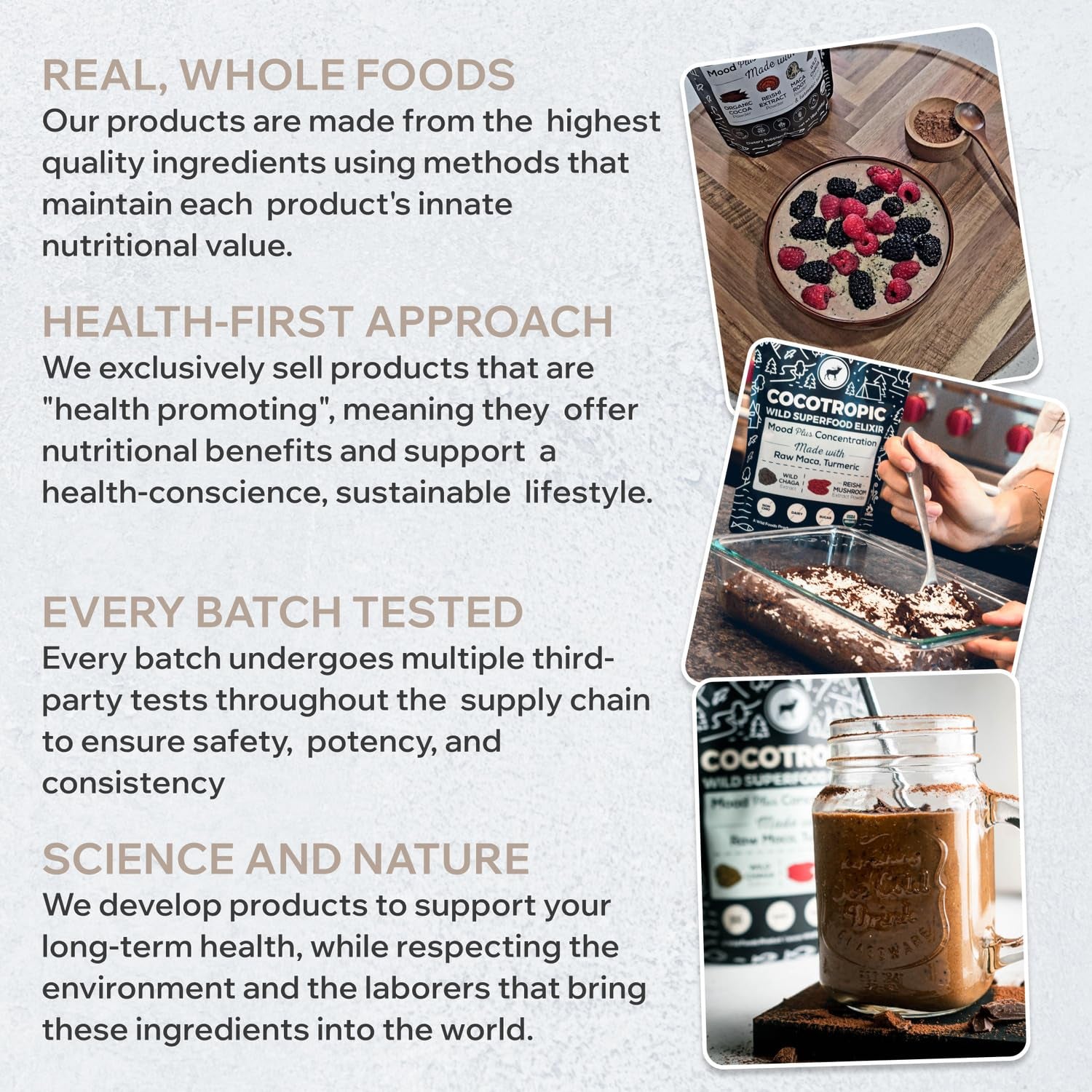 Organic Cocotropic Superfood Mushroom Hot Chocolate Mix, 8 Oz | Non-Gmo, Vegan, Gluten Free, Reishi Mushrooms, Chaga